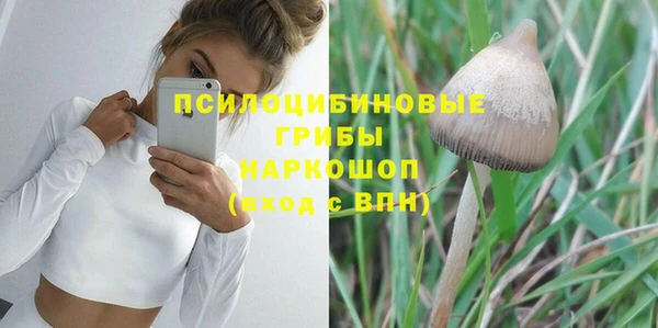 первитин Абинск