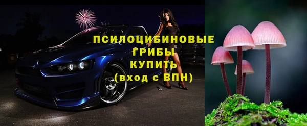 трава Абаза