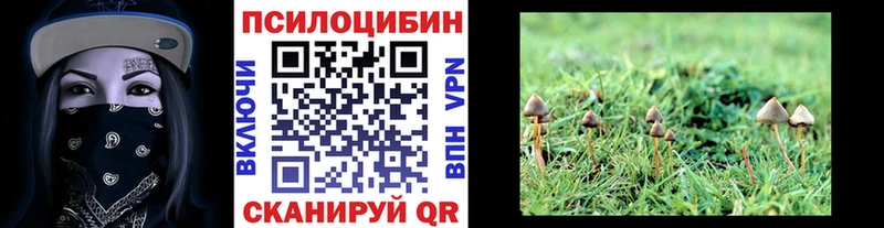 Галлюциногенные грибы GOLDEN TEACHER  Челябинск 